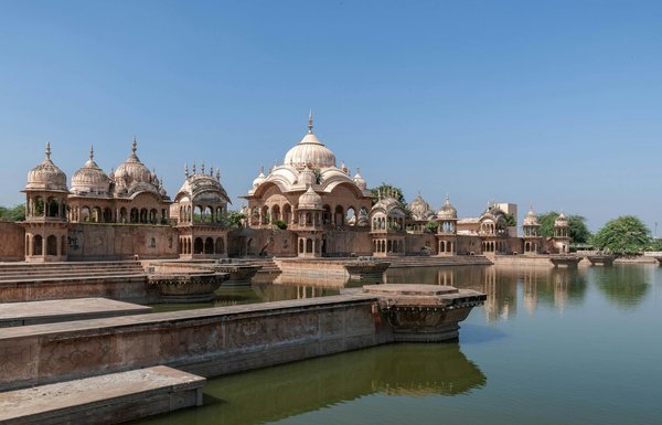 Croisières dans l'Arctique : Comment survivre dans des conditions extrêmes ?